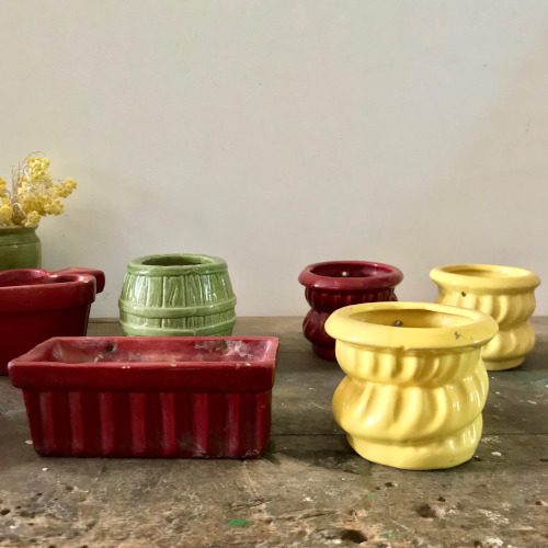 Pots en céramique pour plantes