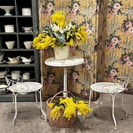 Chaises de jardin